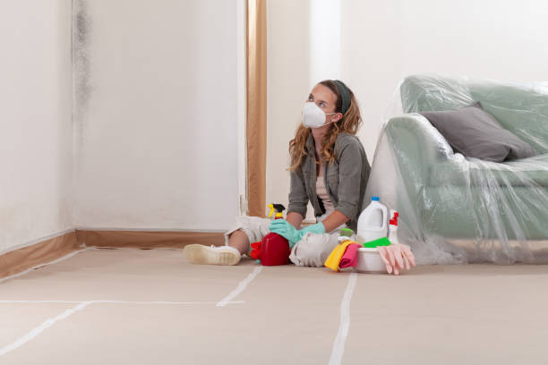 Reliable Black Mold Removal contractor in Betterton, MD by WQB Mold Removal